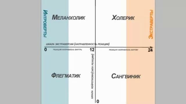 Темперамент флегматика и выбор профессии