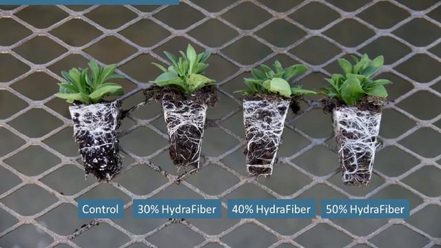 Ellepots + HydraFiber = Young Plant Success! смотреть онлайн