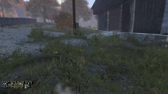 DayZ STALKER Приключения Фамы и Григория. смотреть онлайн