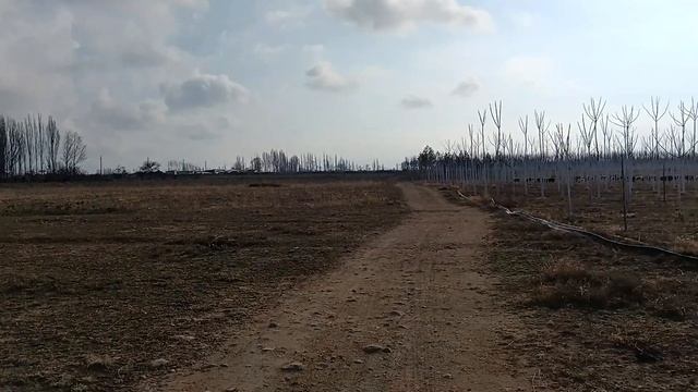 Иссык-куль март 2023 смотреть онлайн