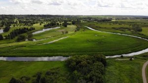 ? Медведь спас деревню от голода. Таежные истории. Удивительные рассказы про животных, жизнь в тайг