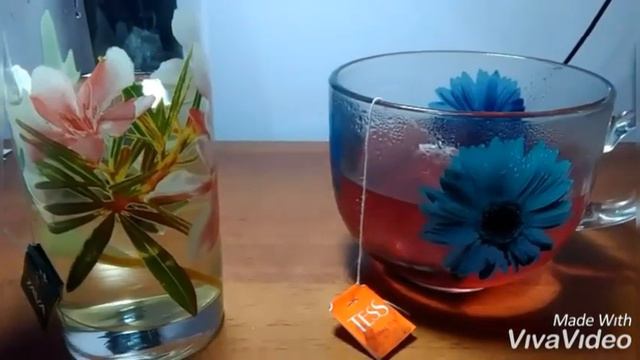 ЭКСПЕРИМЕНТ С ДИФФУЗИЕЙ С ЧАШКАМИ ЧАЯ смотреть онлайн