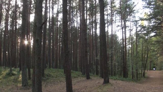 Правда о жизни в России. Тигр в библиотеке, замок под парковкой. Путешествие в Калининград. смотреть онлайн