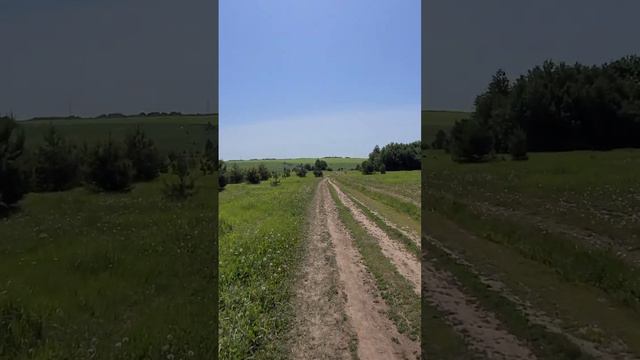 Идем на озеро загорать.😃 #ririkzn смотреть онлайн