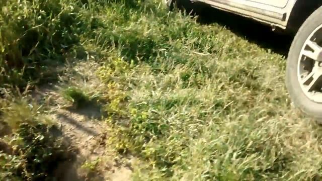 Я на рыбалке. Ловись рыбка большая и маленькая. смотреть онлайн