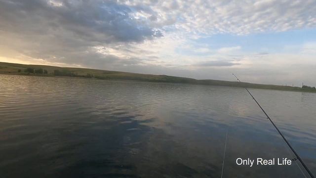 Ириклинское водохранилище, щурята как на разливах Астрахани смотреть онлайн