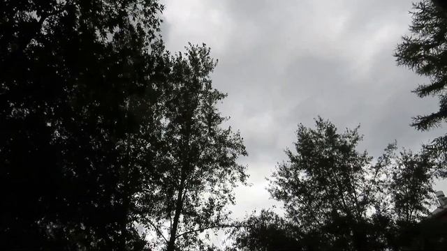 Ураганный ветер в Кемерово смотреть онлайн