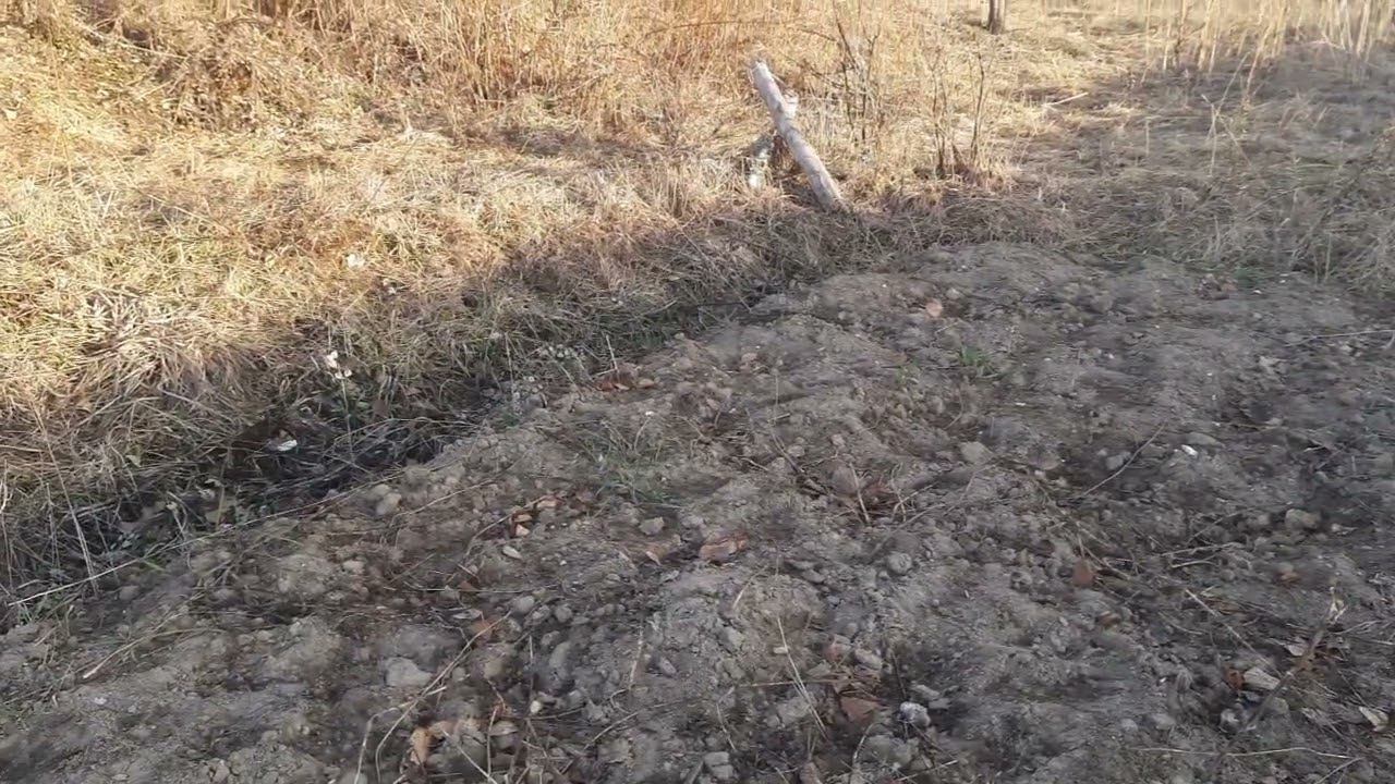 Песня гибрида. 3.5.2022 год. смотреть онлайн