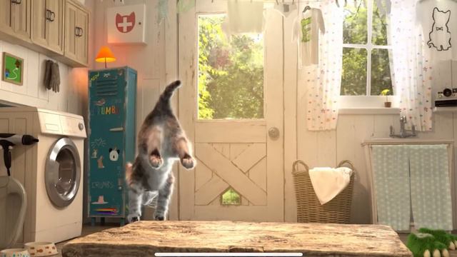 MY LITTLE KITTEN ADVENTURE - SUPER SPECIAL STORY OF A LITTLE KITTEN AND ANIMALS - PET CARE смотреть онлайн