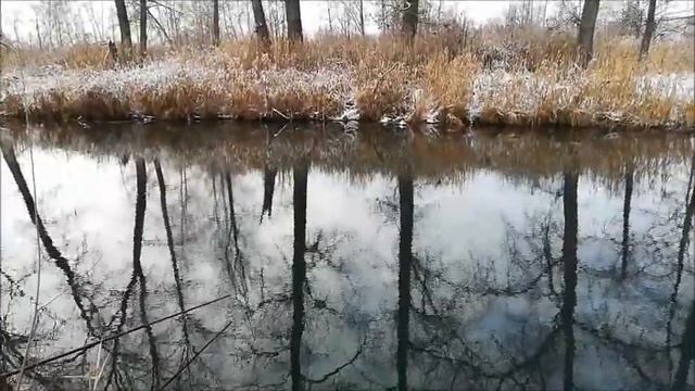Рыбалка , речка Тавровка, съёмка 20.12.2021 смотреть онлайн