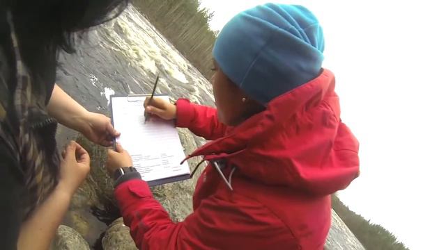 Кола 2014 смотреть онлайн