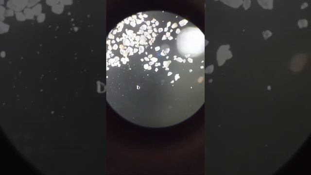 ПЕСОК С МОРЯ ПОД МИКРОСКОПОМ смотреть онлайн