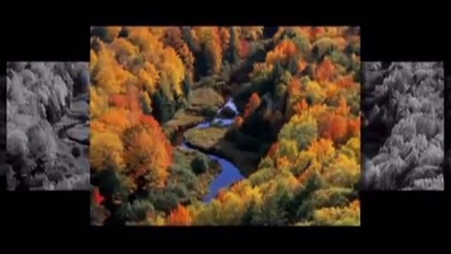 Какая осень: очень красивое видео смотреть онлайн