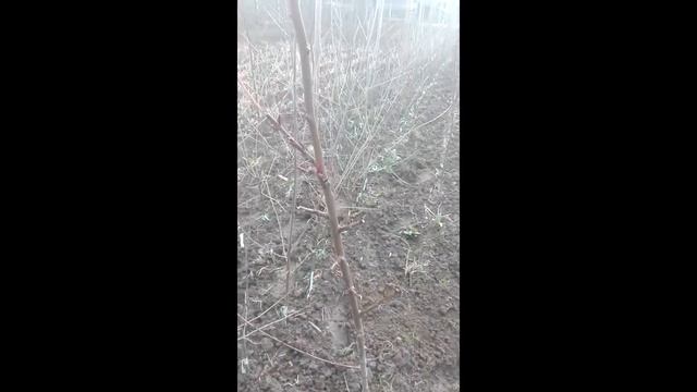 Стройка Провалов