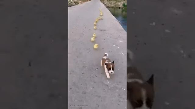 #memes смотреть онлайн