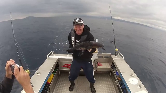 Веселое селфи с тунцом смотреть онлайн