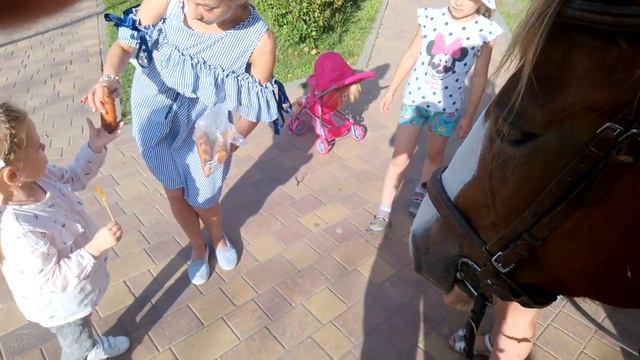 Лошадка Ладога ?на детской площадке городка. смотреть онлайн