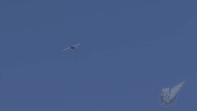 L39 Albatros jet at Warbirds Over Wanaka смотреть онлайн