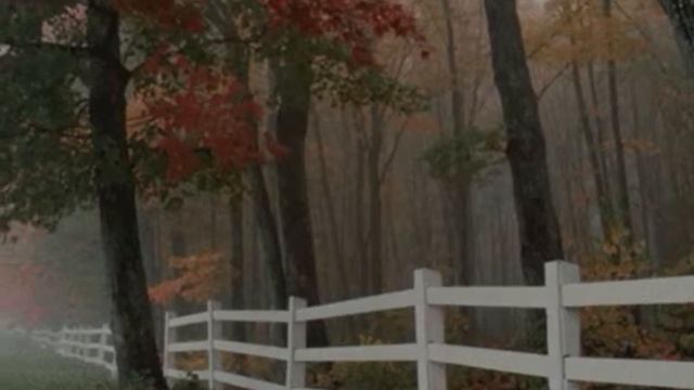 Метки осени.