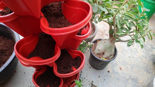 How To Make Flower Tower With Soilless Medium