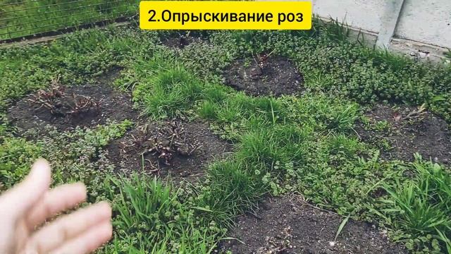 Конструктор Мечты