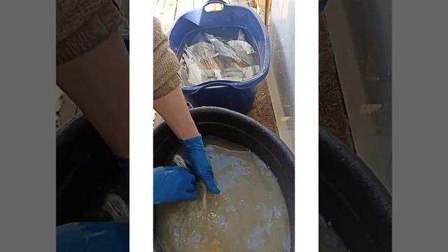 Кулинарное творчество без границ 