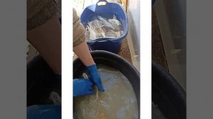 Щука сухим посолом (щука под прессом ) сушка  в домашних условиях.