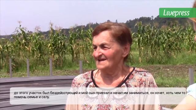 тепличное хозяйство смотреть онлайн