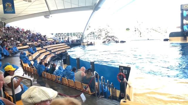 Шоу Касаток.Loro Park Tenerife.Killer Whales.Кира с папой в зоопарке. Знакомимся с животными ??? смотреть онлайн