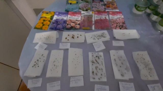 Многолетние цветы. Посев семенами. смотреть онлайн