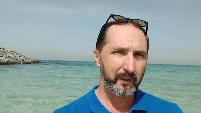 Программа саморазрушения | Как работает программа в жизни | Какие причины. смотреть онлайн