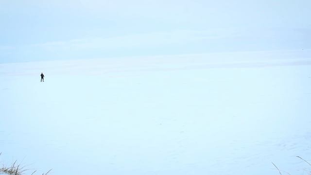 Уроборос контента |Блог Валевского| смотреть онлайн