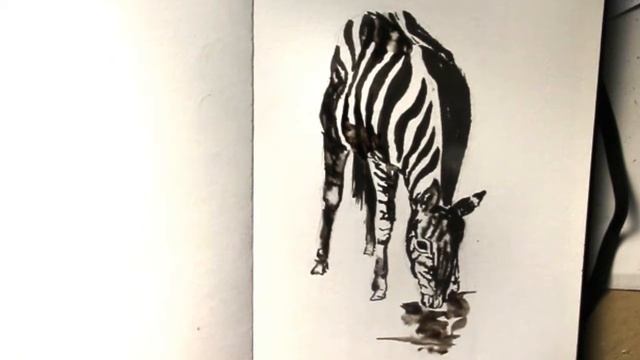 Зебра пьет воду. Размывка тушью смотреть онлайн