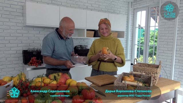 Томат Загадка природы