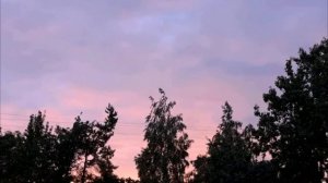 Иван травник или купала