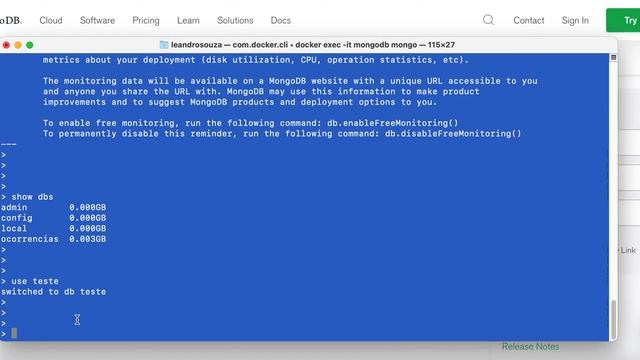 Aula 01 - Instalação MongoDB forma tradicional ou com Docker смотреть онлайн