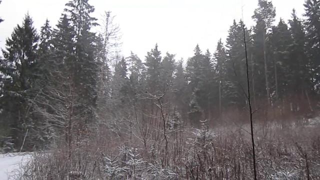 Canon PowerShot A2200 HD video sample смотреть онлайн