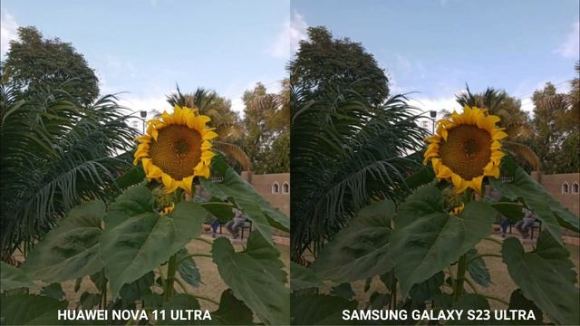 Huawei Nova 11 Ultra Vs Samsung Galaxy S23 Ultra Camera Test