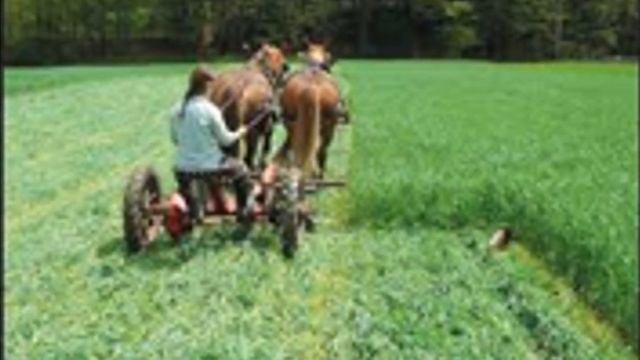 farming slider смотреть онлайн