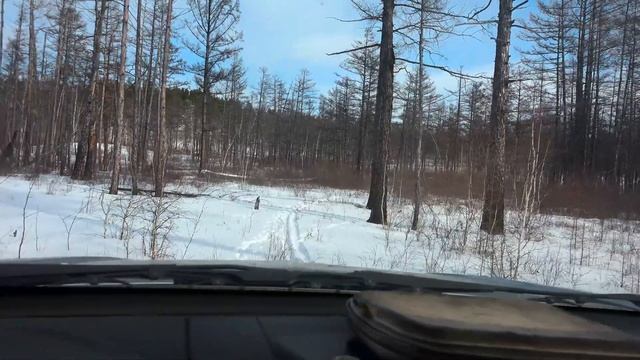 Забайкальский Край. Весенняя белка и минеральный ключ. смотреть онлайн