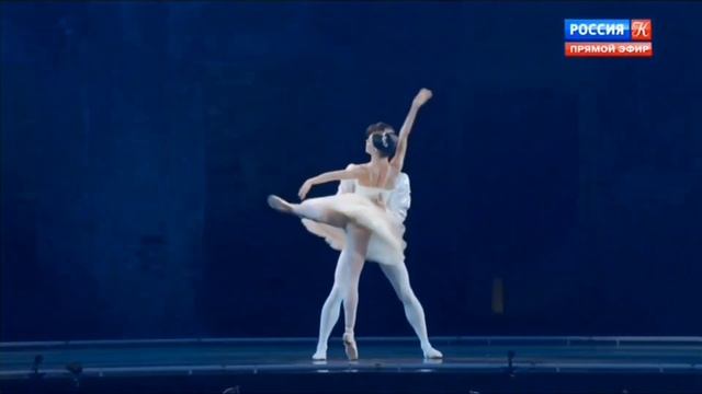 Kimin Kim's Performances Celebrating His Birthday (김기민 무용수 생일 기념 무대 영상 모음) Выступления Кимина