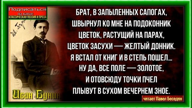 Донник —Иван Бунин—Русская Поэзия— читает Павел Беседин смотреть онлайн