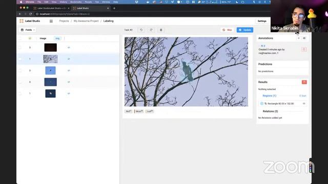 Installing Label Studio Plus Overview of Basic Features смотреть онлайн