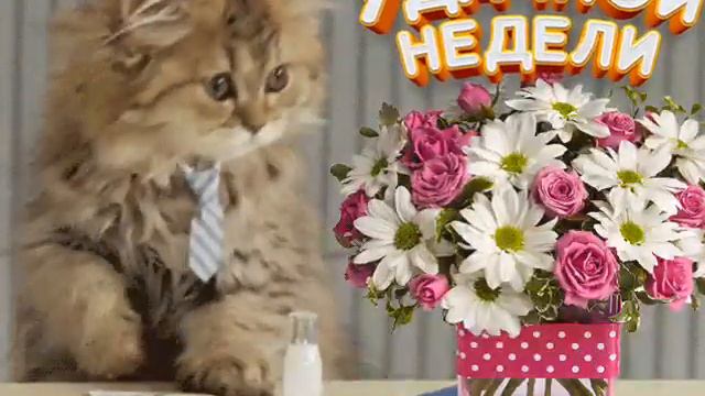 Хорошего Понедельника Всем Друзья 🤗.