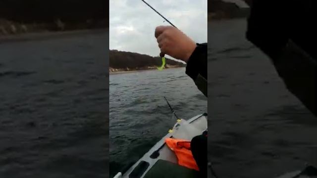 И на дешёвую насадку рыба ловится!☝️?? смотреть онлайн