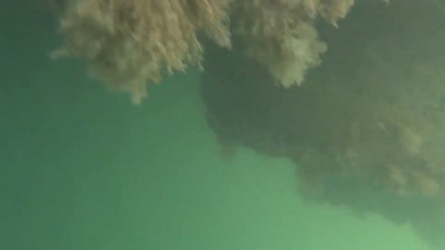 Водолазные работы в Актау смотреть онлайн