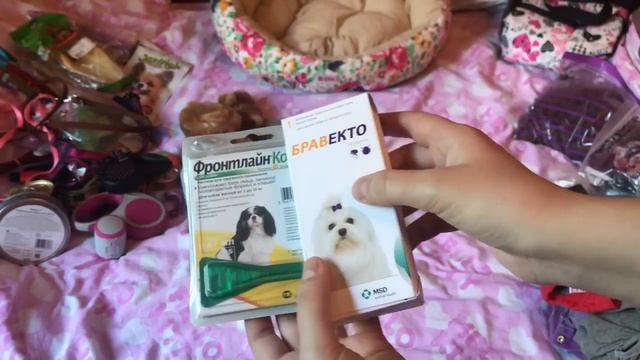 Что я беру на дачу для собаки на лето смотреть онлайн