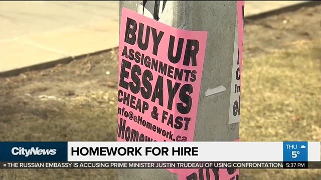 What schools can do about third-party essay writing services смотреть онлайн