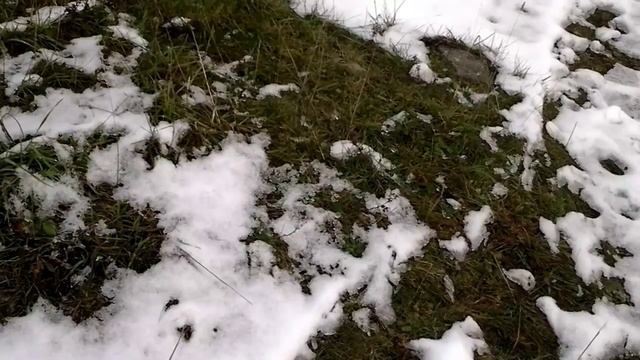 Крево. Прогулка по замку. 10:46 смотреть онлайн