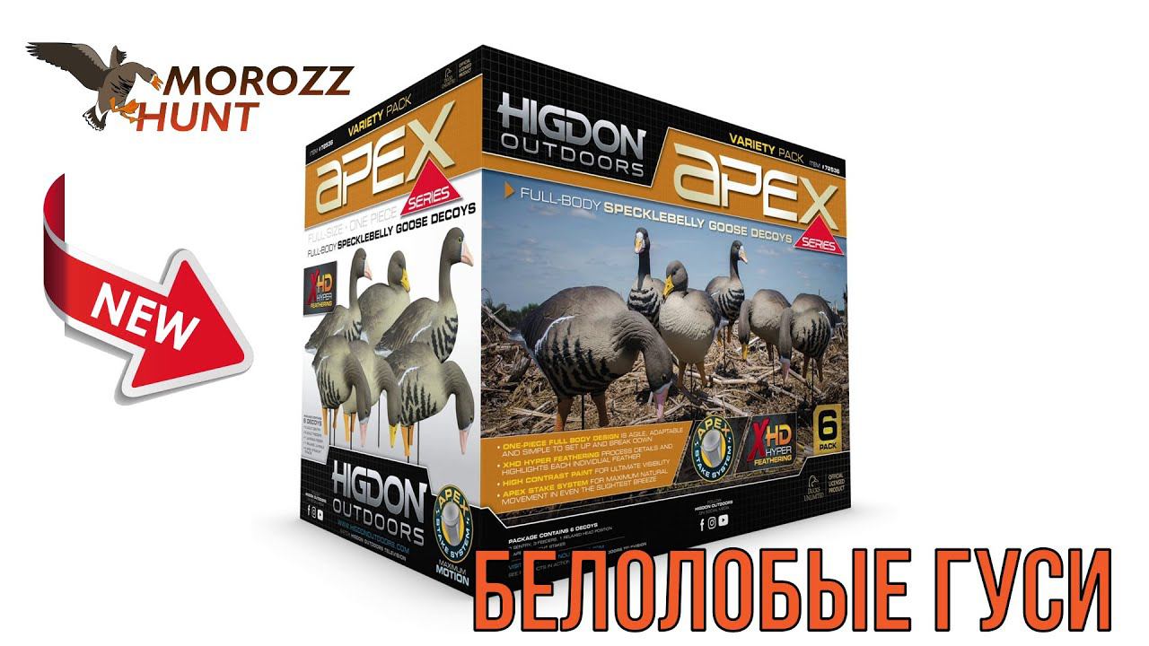 Обзор новинки от компании  Higdon - Полевые чучела белолобого гуся.